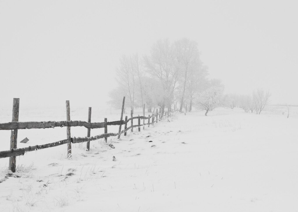 Landschaft im Januar unter Schnee